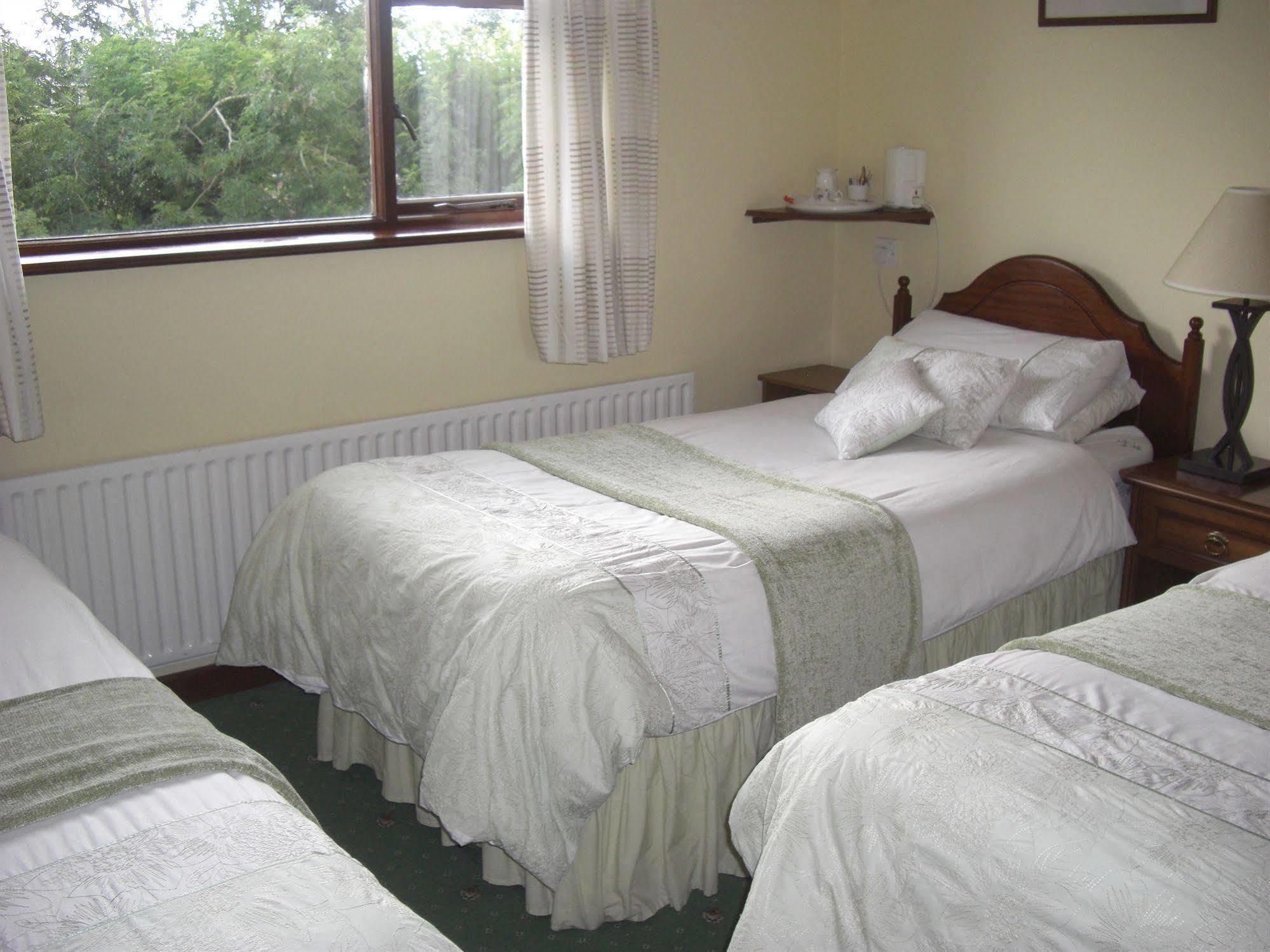 Springlawn Bed & Breakfast Clarinbridge Ngoại thất bức ảnh